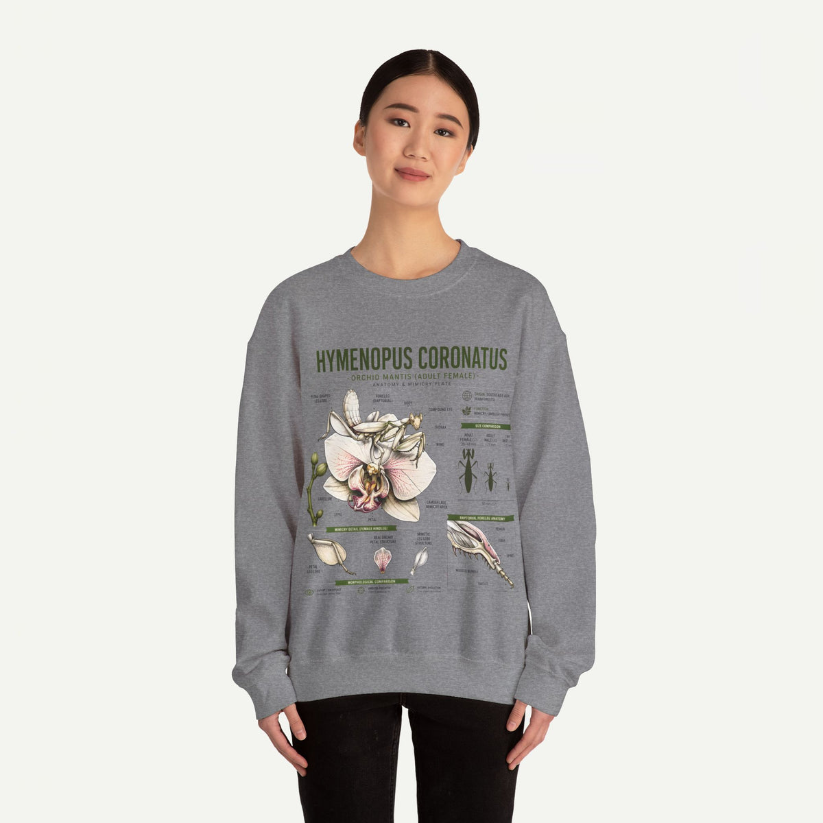 Botanical Anatomy Sweatshirt — Hymenopus Coronatus Illustration