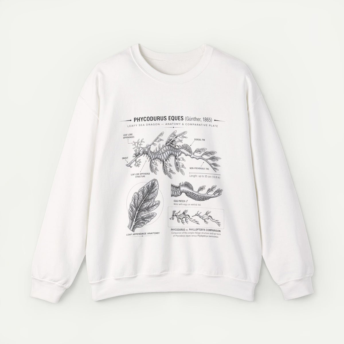 Botanical Anatomy Sweatshirt — Vintage Phycodurus Eques Seaweed Illustration