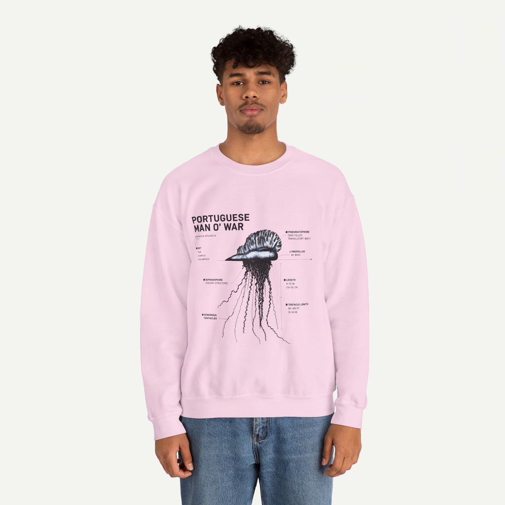 Portuguese Man O' War Anatomy Sweatshirt
