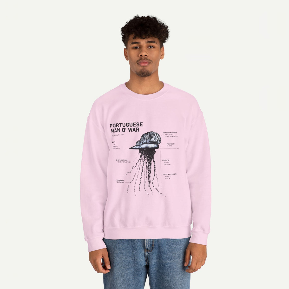 Portuguese Man O' War Anatomy Sweatshirt