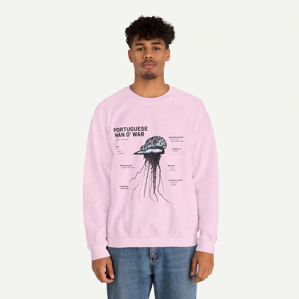 Portuguese Man O' War Anatomy Sweatshirt