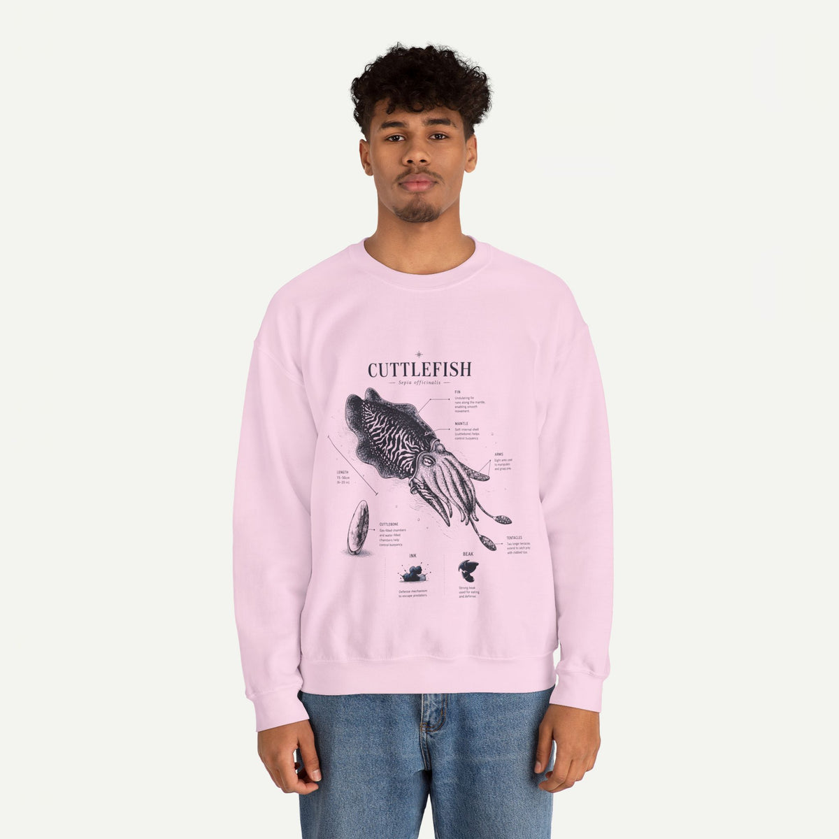Cuttlefish Anatomy Crewneck Sweatshirt