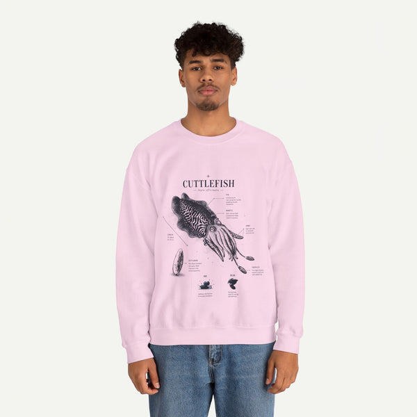 Cuttlefish Anatomy Crewneck Sweatshirt