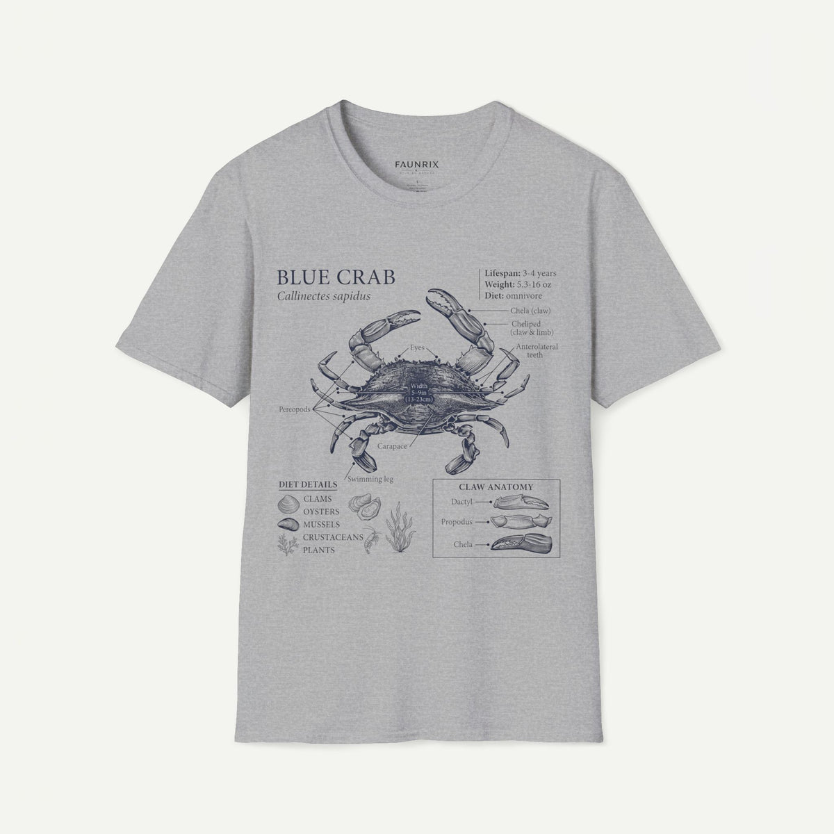 Crab Anatomy T-Shirt — Vintage Blue Crab Illustration Tee