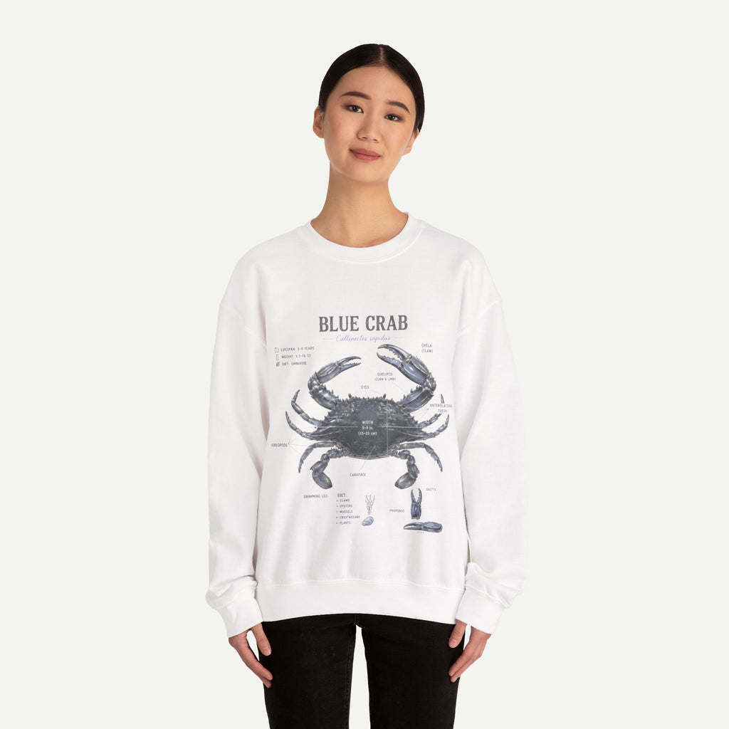Blue Crab Sweatshirt — Vintage Nautical Marine Illustration