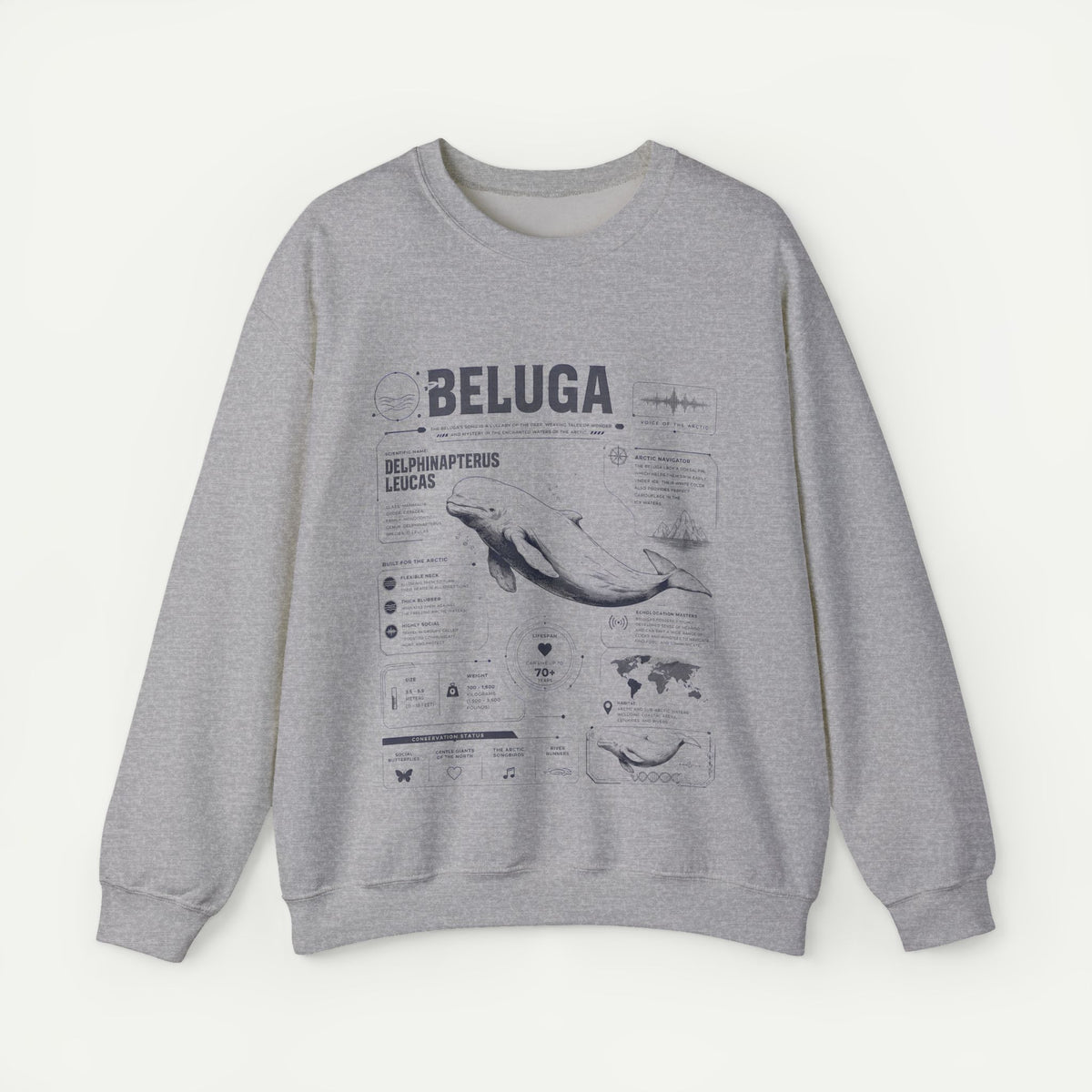 Beluga Whale Anatomy Sweatshirt