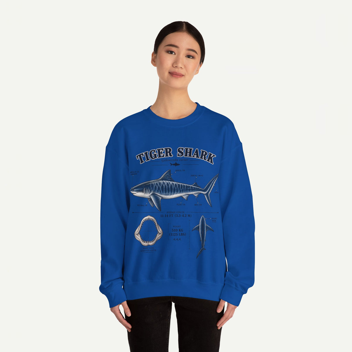 Tiger Shark Anatomy Sweatshirt