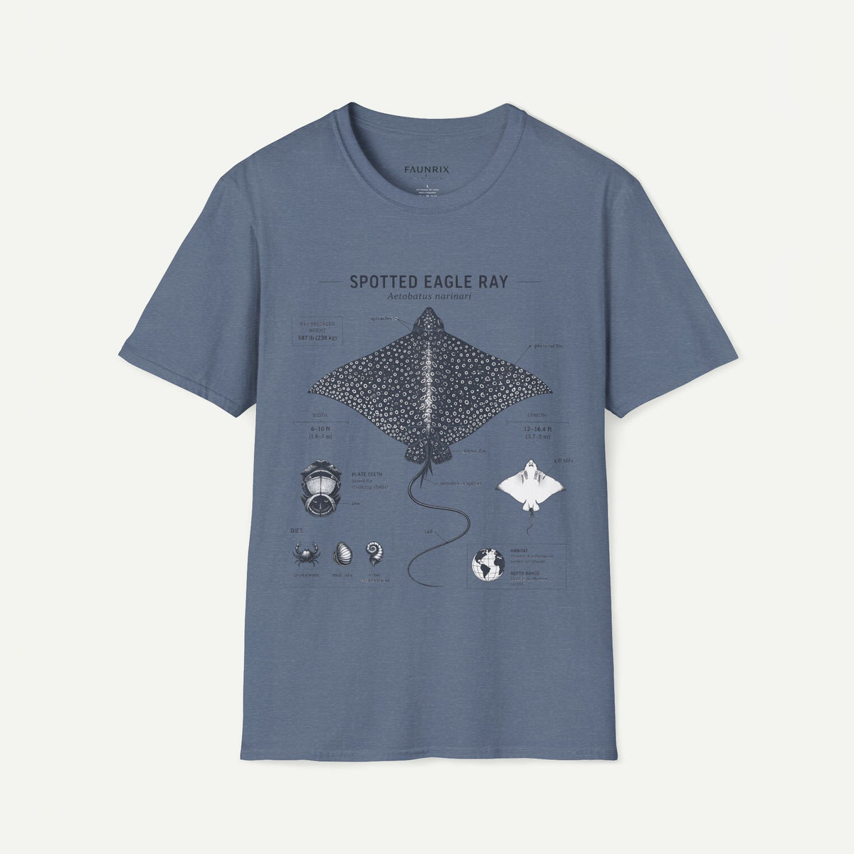 Spotted Eagle Ray Anatomy T-Shirt — Marine Life Graphic Tee