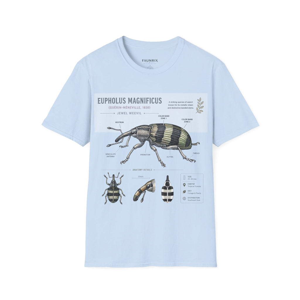 Vintage Botanical Beetle Anatomy T-Shirt — Eupholus Magnificus Illustration