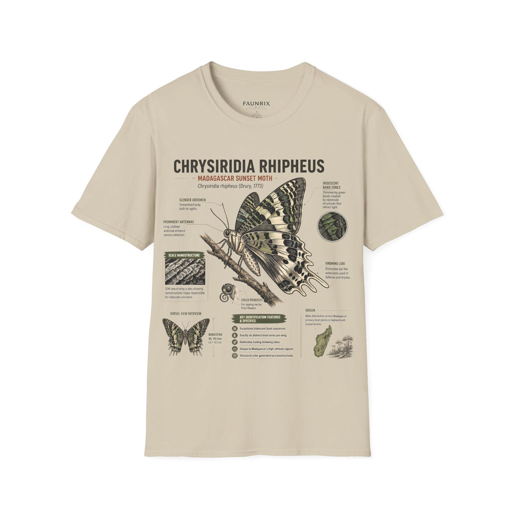 Moth Anatomy Tee — Chrysiridia Rhipheus Madagascar Sunset Moth Scientific Print