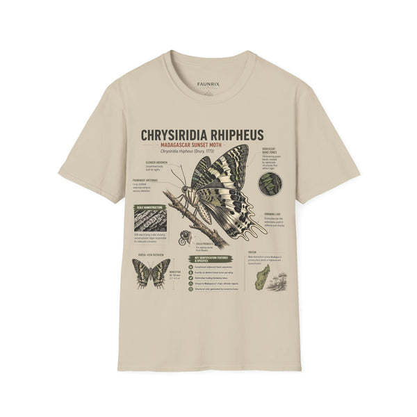 Moth Anatomy Tee — Chrysiridia Rhipheus Madagascar Sunset Moth Scientific Print