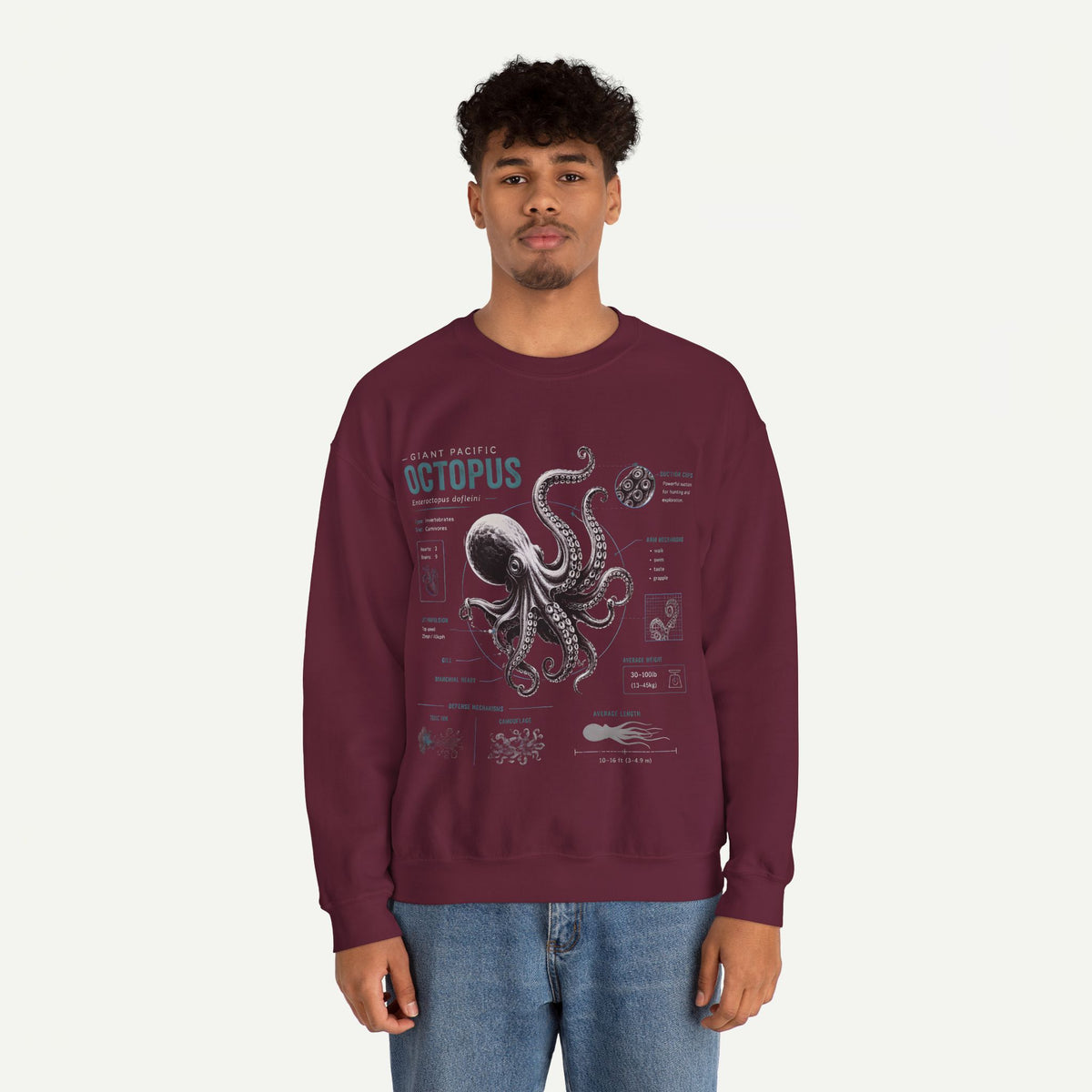 Octopus Anatomy Sweatshirt — Vintage Marine Biology Graphic