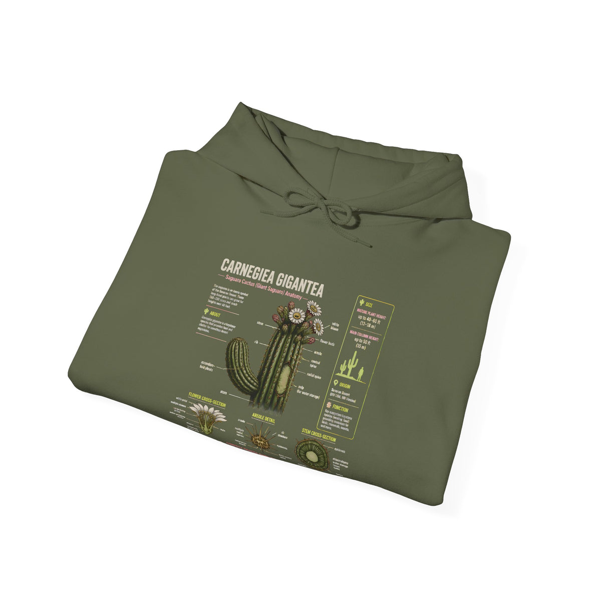Cactus Anatomy Hoodie — Botanical Saguaro Diagram Sweatshirt