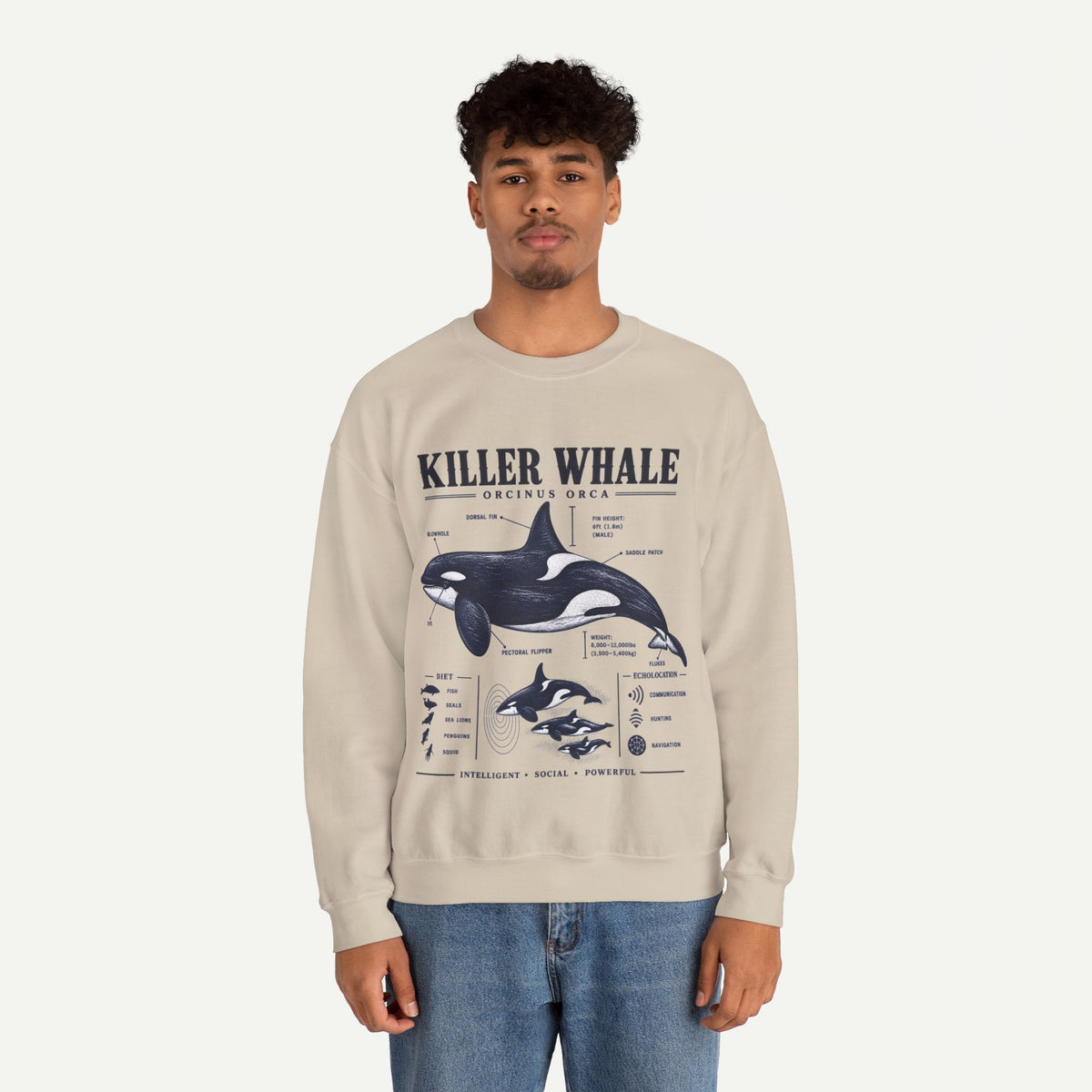 Killer Whale Anatomy Sweatshirt