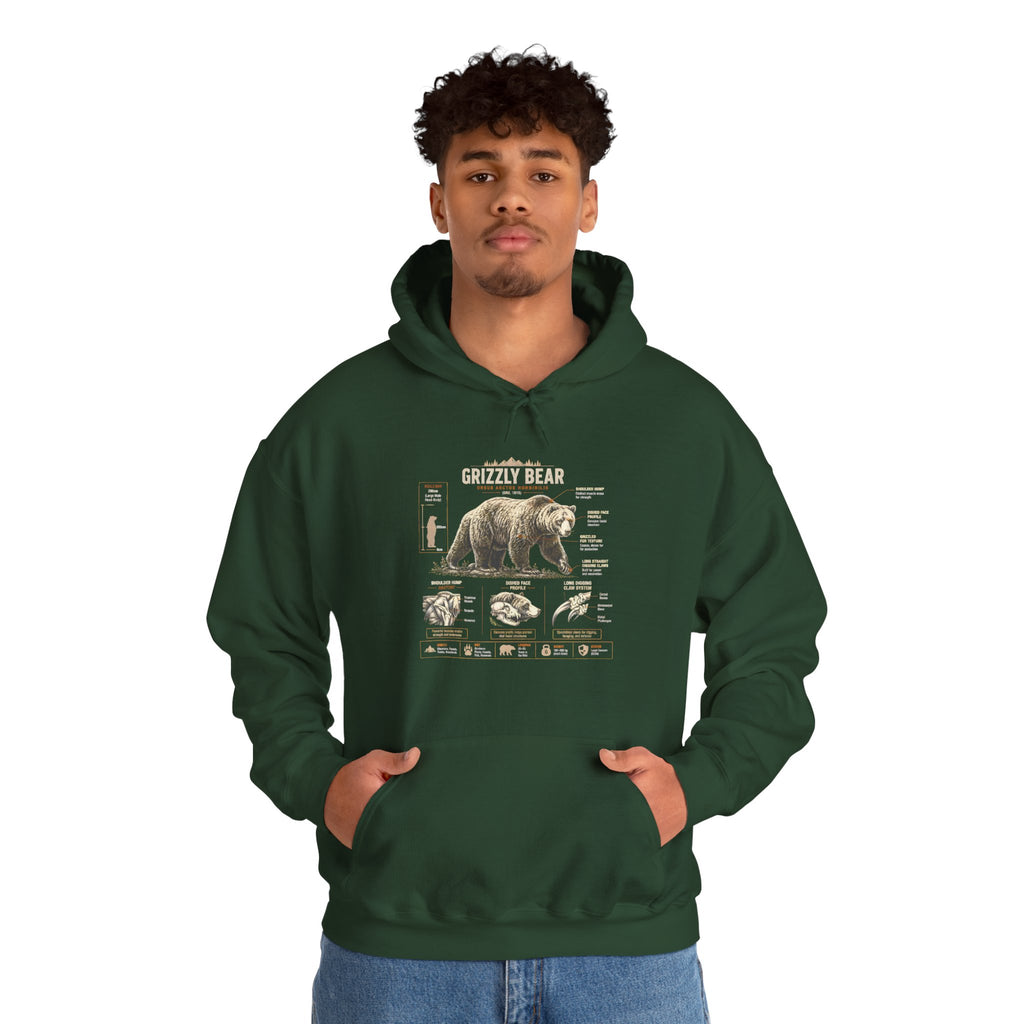 Hoodie — Vintage Bear Anatomy Graphic Hoodie