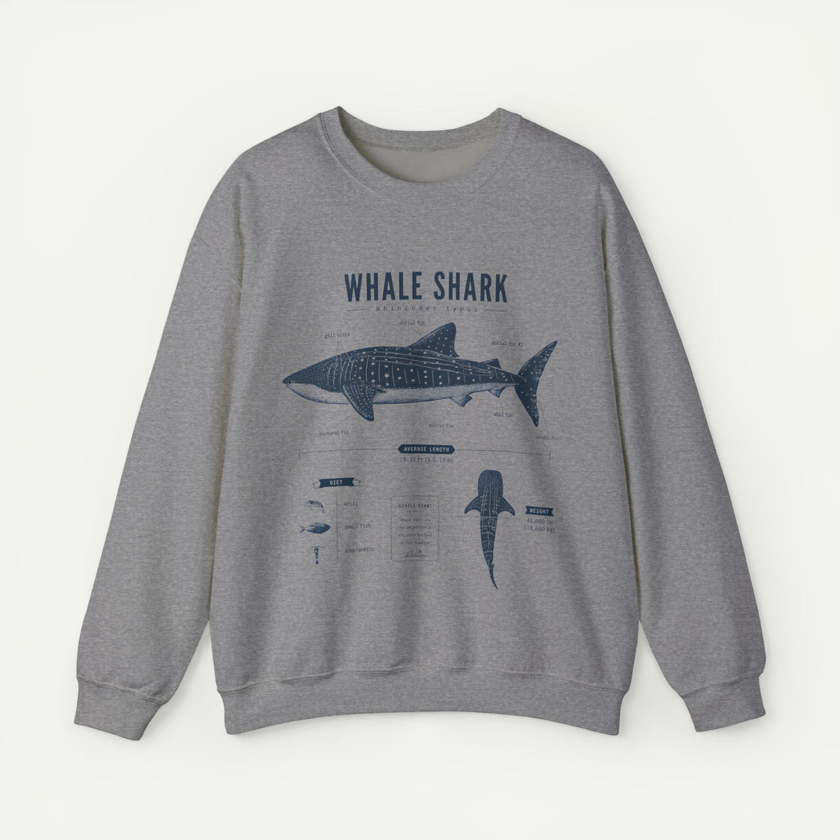 Whale Shark Anatomy Sweatshirt — Marine Life Illustration Crewneck