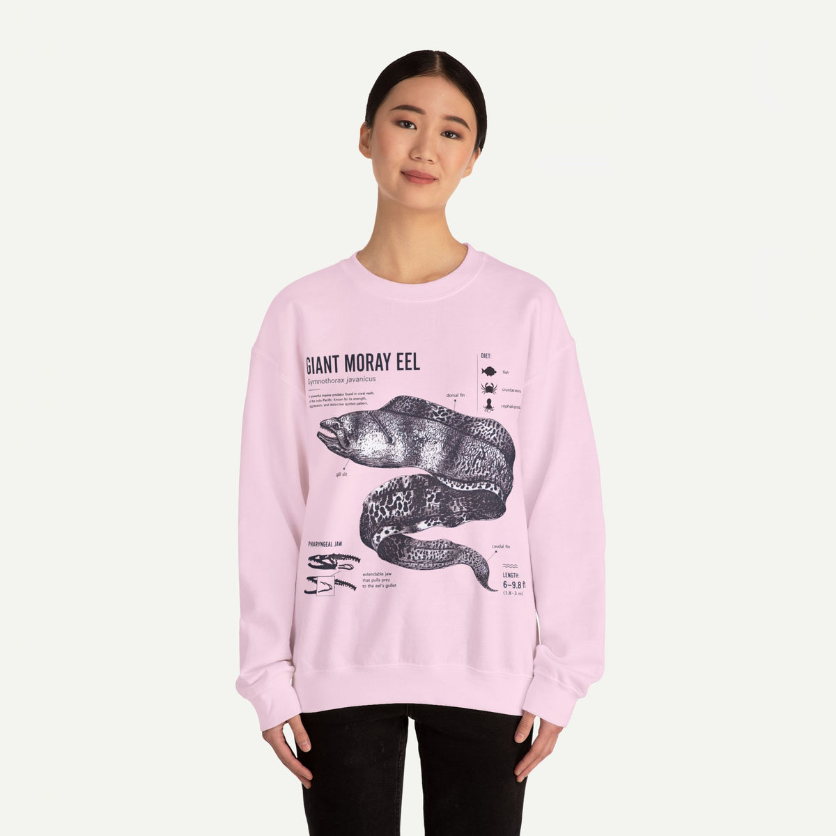 Giant Moray Eel Anatomy Sweatshirt