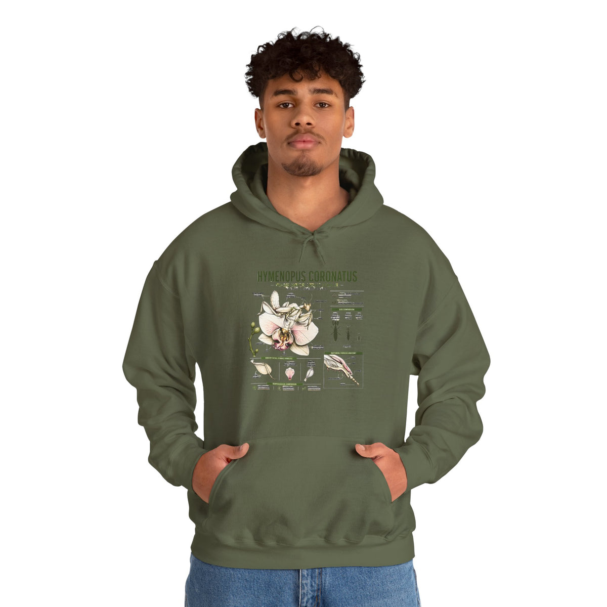 Botanical Hooded Sweatshirt — Hymenopus Coronatus Praying Mantis Illustration