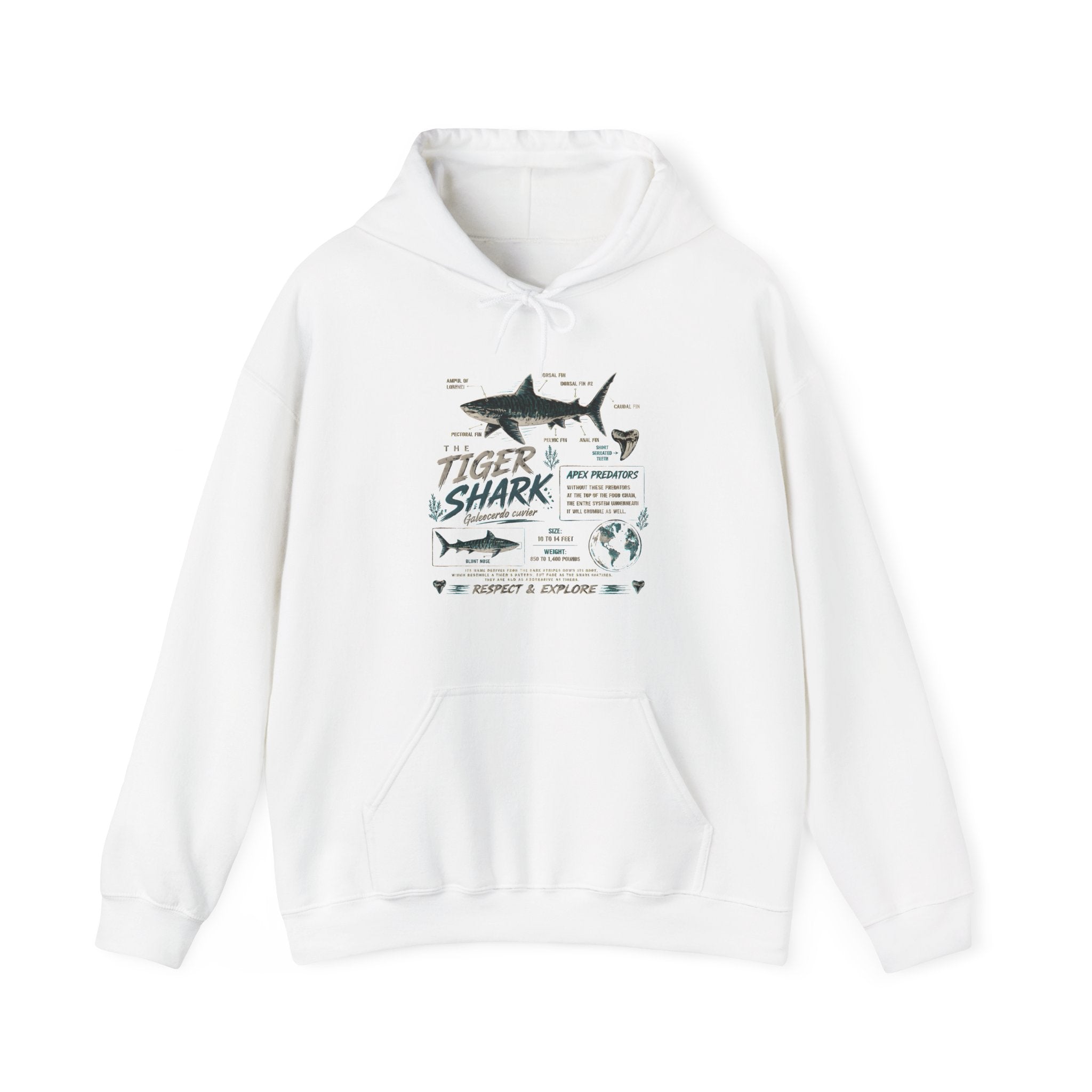Tiger Shark Illustration Hoodie — Marine Biology Graphic Pullover (Tiger Shark Facts) Secondary image