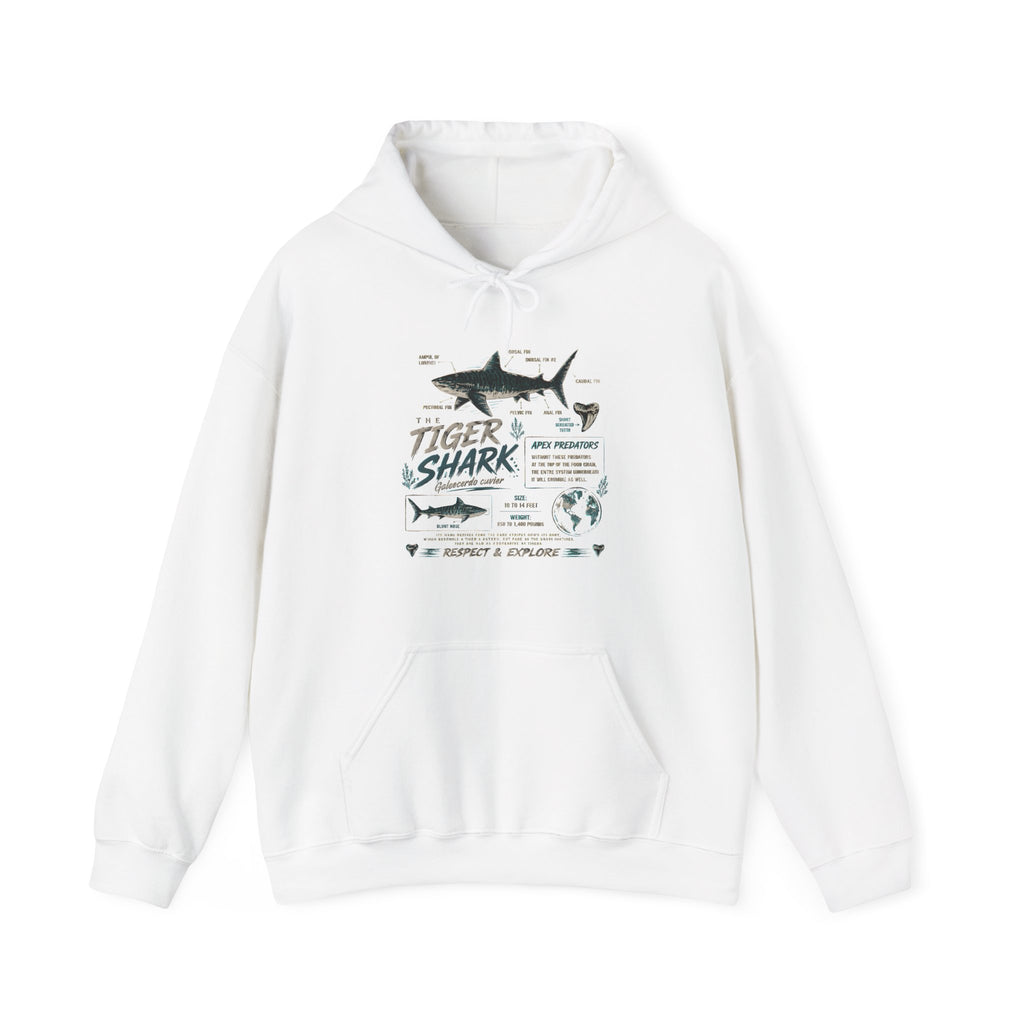 Tiger Shark Illustration Hoodie — Marine Biology Graphic Pullover (Tiger Shark Facts)