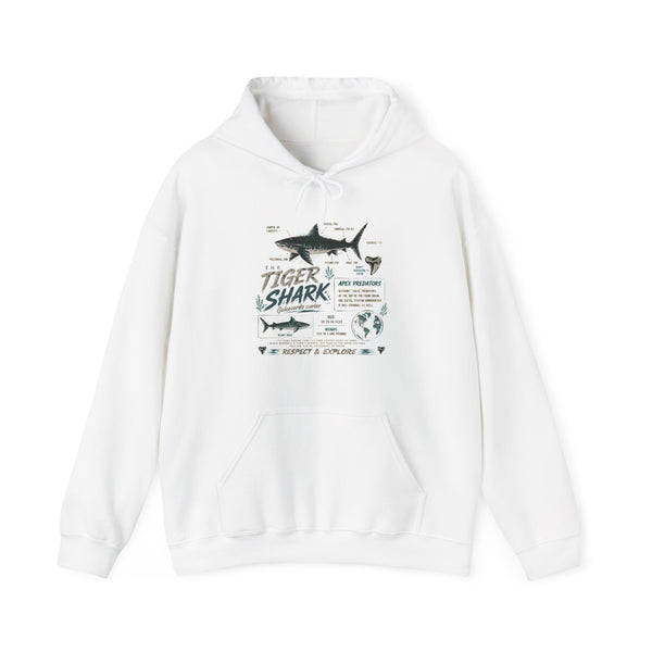 Tiger Shark Illustration Hoodie — Marine Biology Graphic Pullover (Tiger Shark Facts)