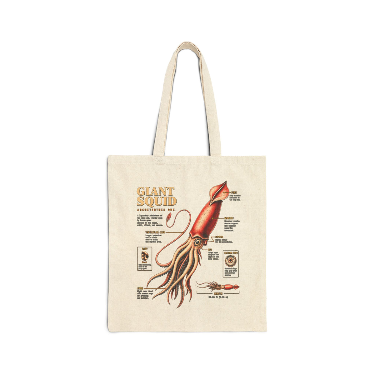 Giant Squid Anatomy Cotton Tote Bag – Vintage Marine Biology Illustration Main image