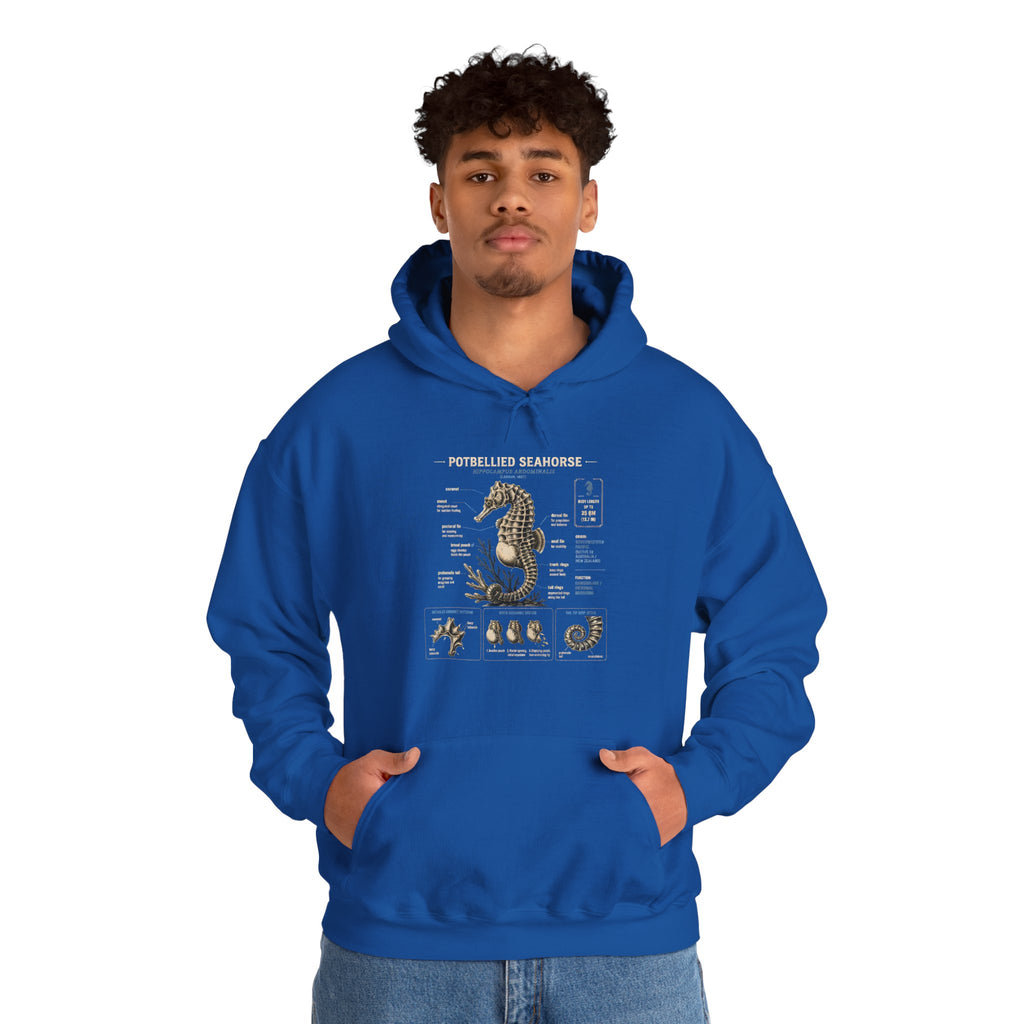 Pocketwatch Seahorse Anatomy Hoodie — Vintage Nautical Illustration Sweatshirt