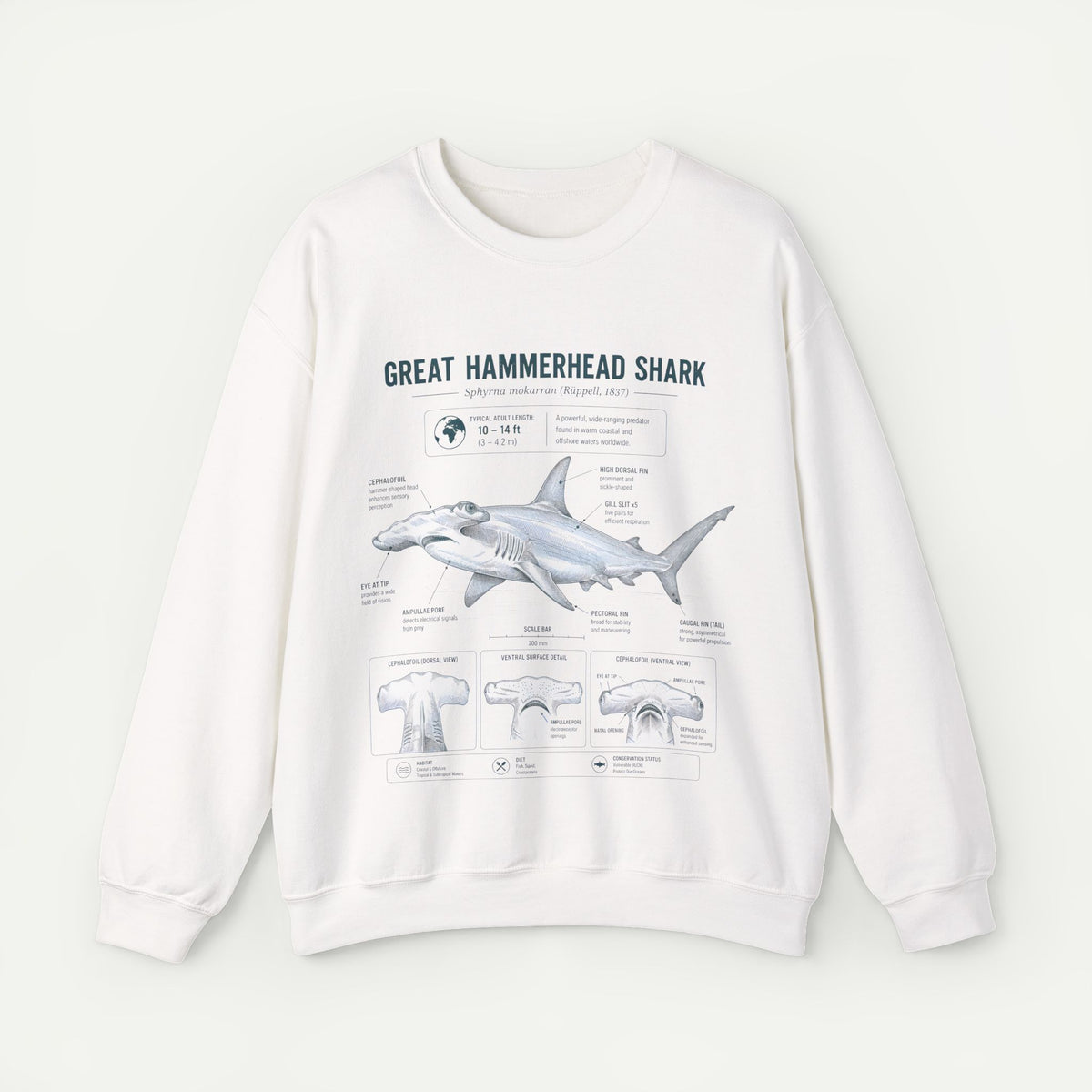 Hammerhead Shark Anatomy Sweatshirt — Great Hammerhead Shark Illustration Main image