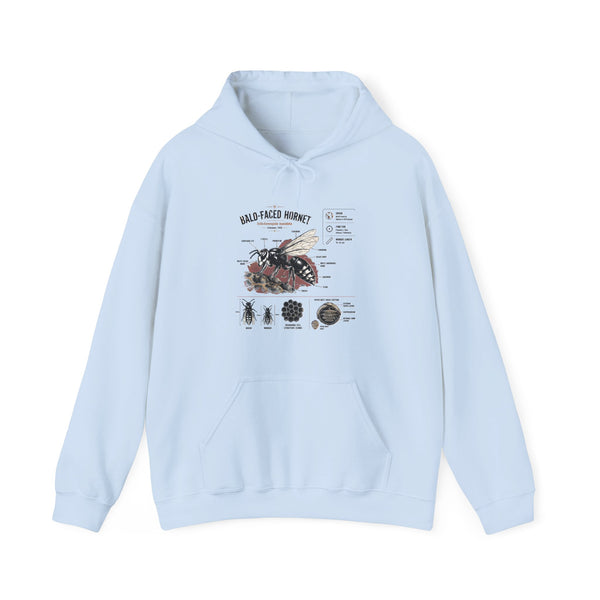 Bee Anatomy Hoodie — Bald-Faced Hornet Illustration & Diagram Sweatshirt