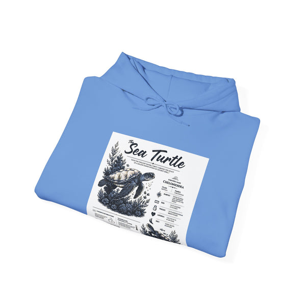 Sea Turtle Hoodie – Vintage Ocean Conservation Graphic Sweatshirt