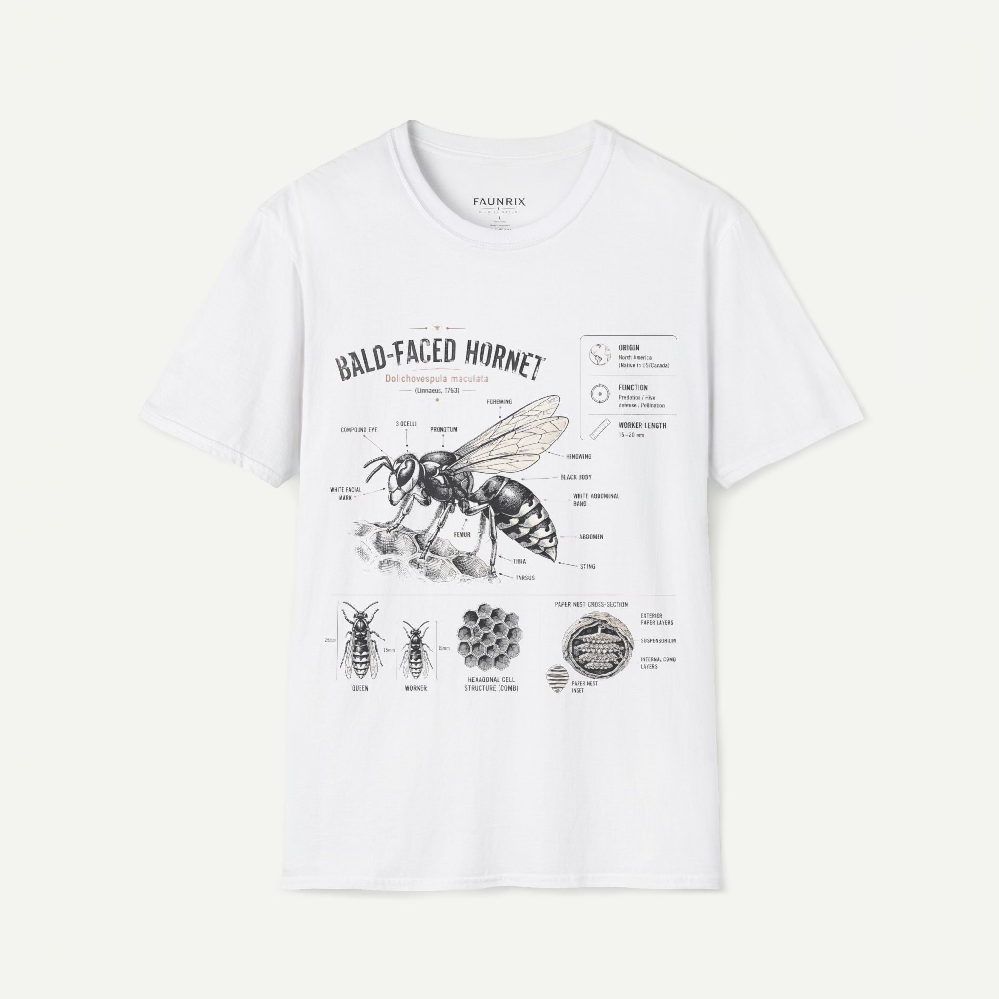 Bald-Faced Hornet Anatomy T-Shirt - Vintage Entomology Illustration Secondary image