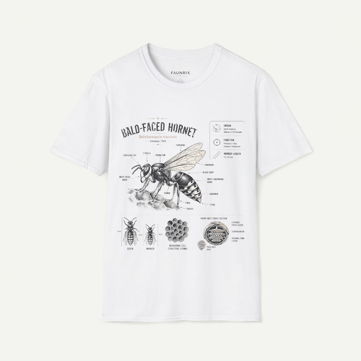 Bald-Faced Hornet Anatomy T-Shirt - Vintage Entomology Illustration