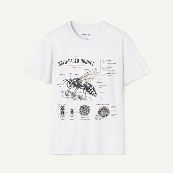 Bald-Faced Hornet Anatomy T-Shirt - Vintage Entomology Illustration