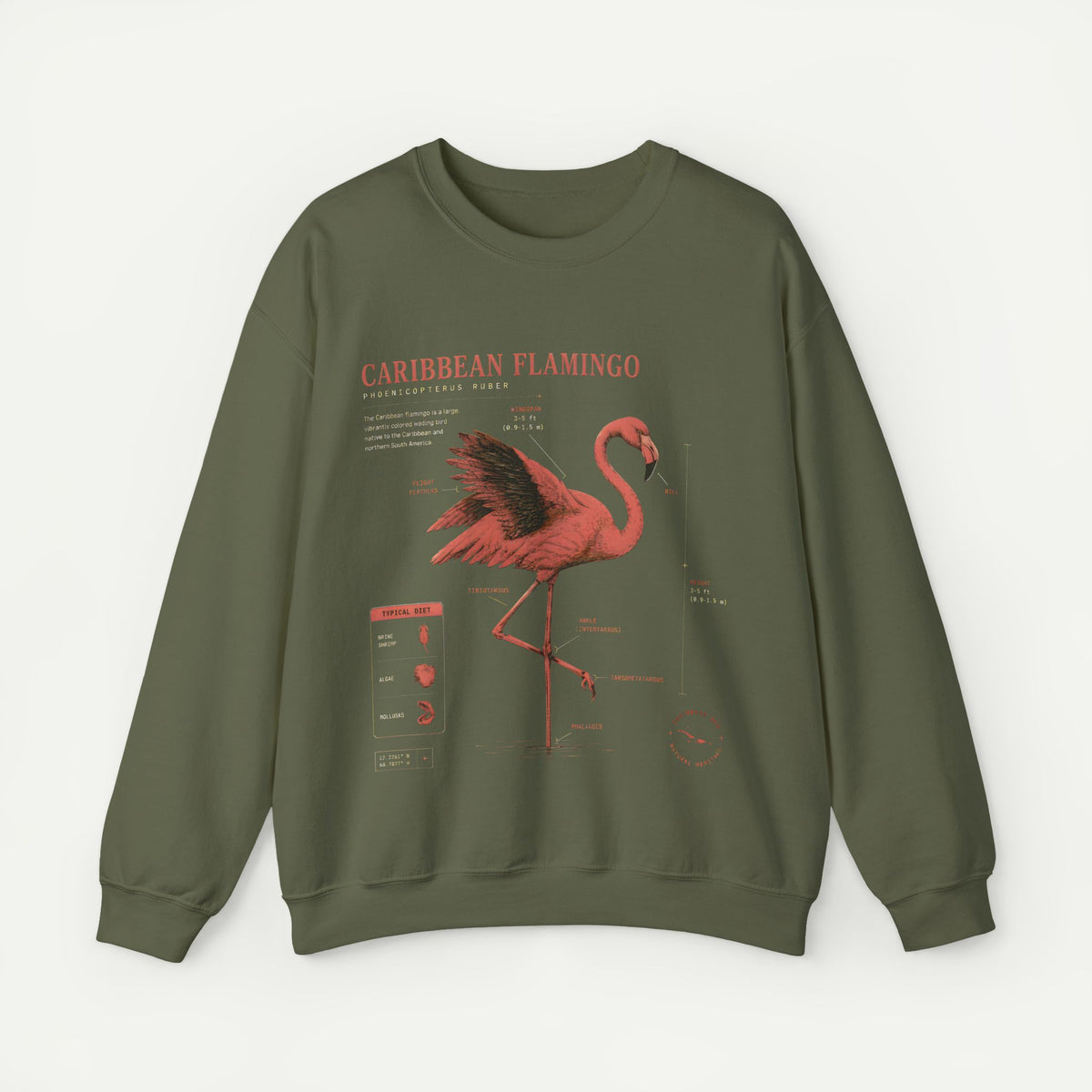 Flamingo Anatomy Field Guide Crewneck Sweatshirt