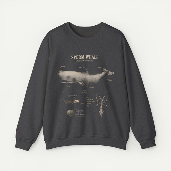 Sperm Whale Anatomy Sweatshirt — Vintage Marine Biology Illustration