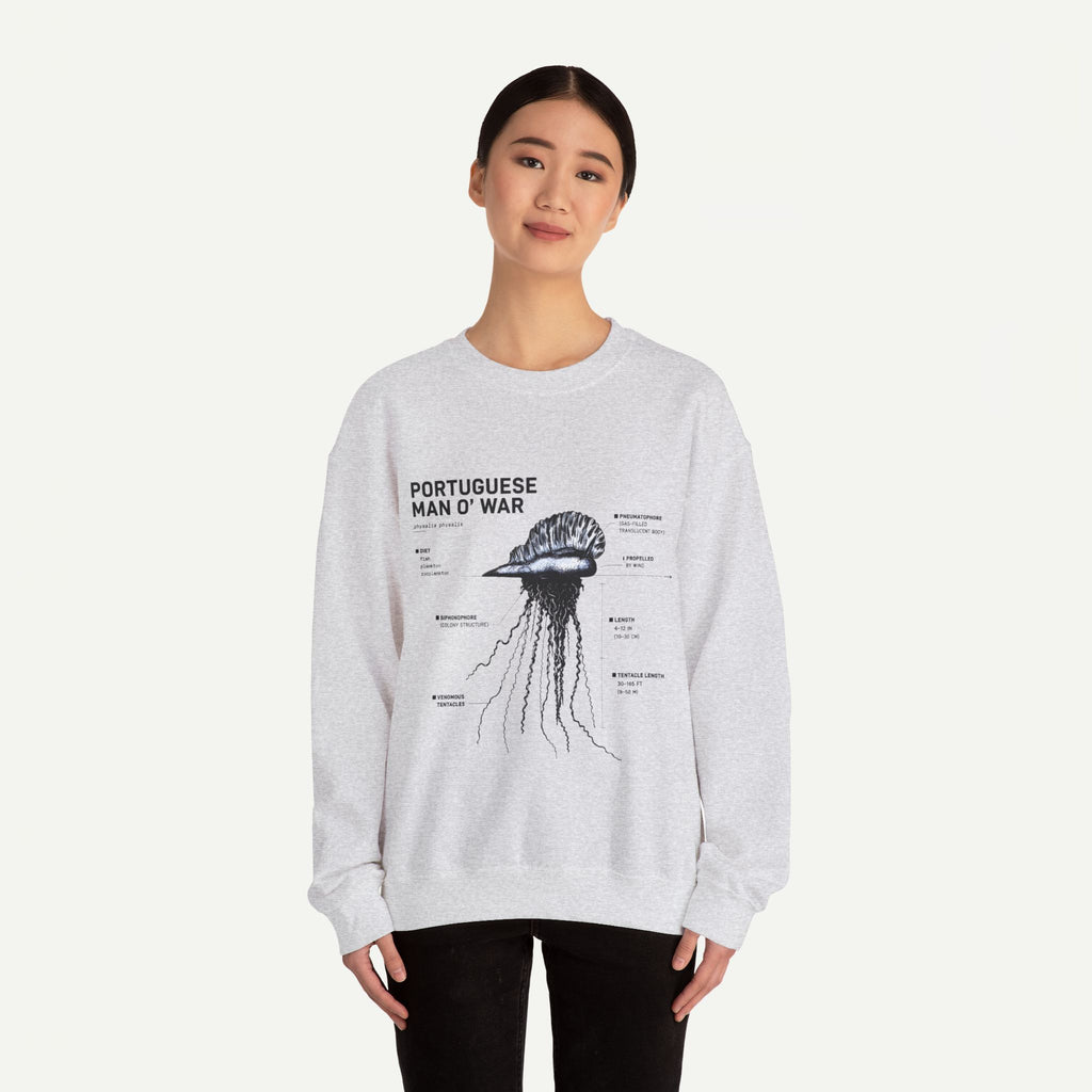 Portuguese Man O' War Anatomy Sweatshirt