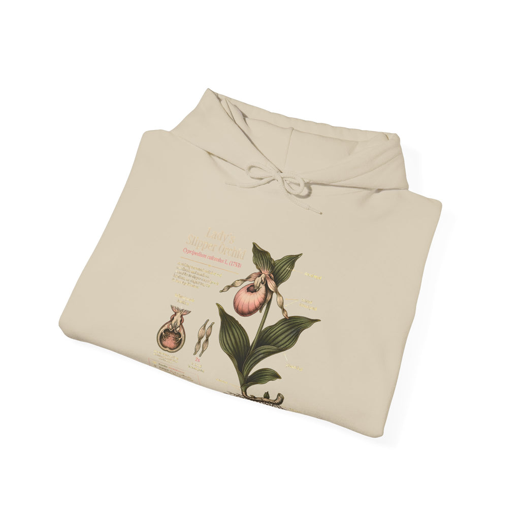 Botanical Peach Illustration Hoodie — Vintage Botanical Chart Sweatshirt