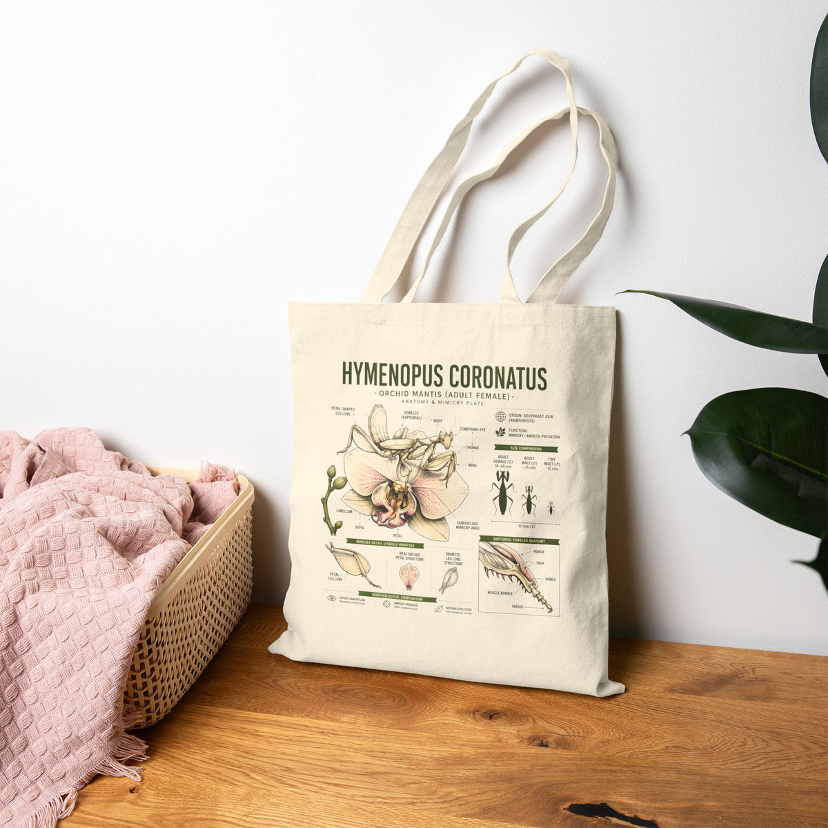 Hymenopus Coronatus Botanical Tote Bag — Praying Mantis Anatomy Canvas Tote