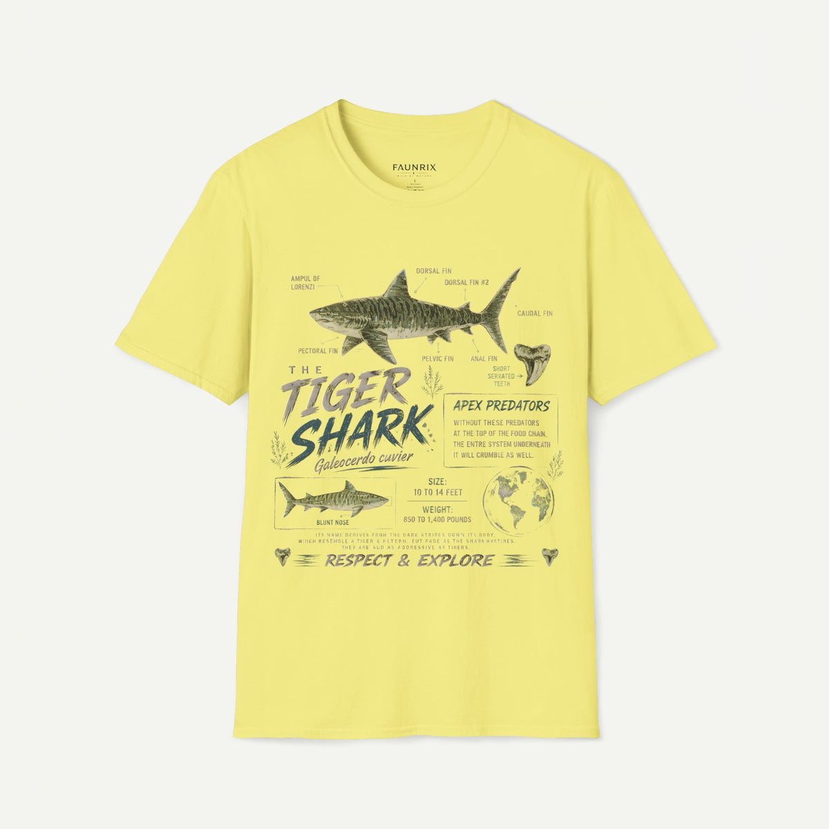 Tiger Shark Anatomy Tee — Vintage Apex Predator Graphic T-Shirt