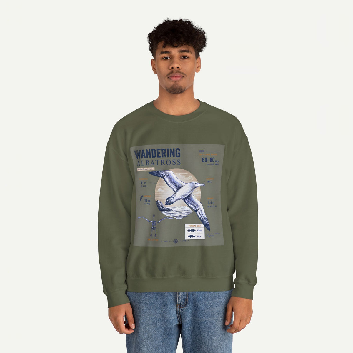 Wandering Albatross Anatomy Sweatshirt — Vintage Seabird Illustration