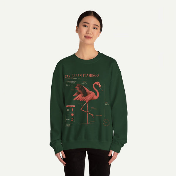 Flamingo Anatomy Field Guide Crewneck Sweatshirt