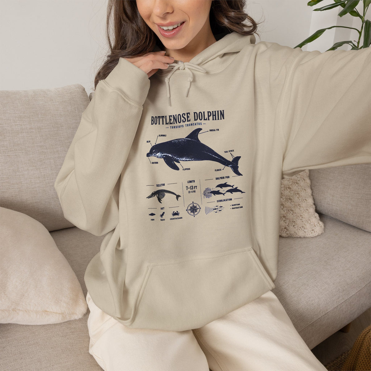 Bottlenose Dolphin Diagram Hoodie – Marine Life Anatomy Sweatshirt