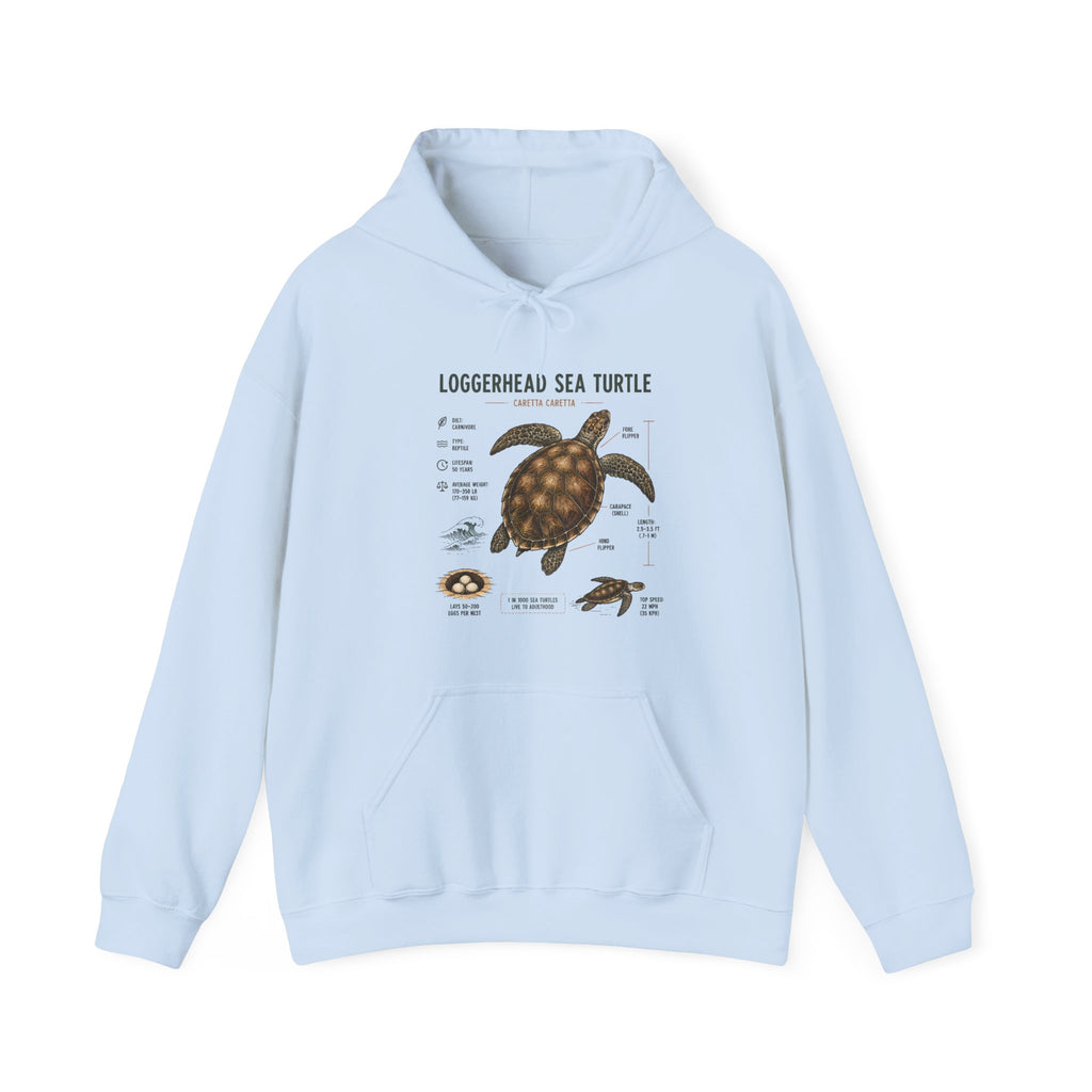 Loggerhead Sea Turtle Diagram Hoodie – Marine Biology Illustration Sweatshirt