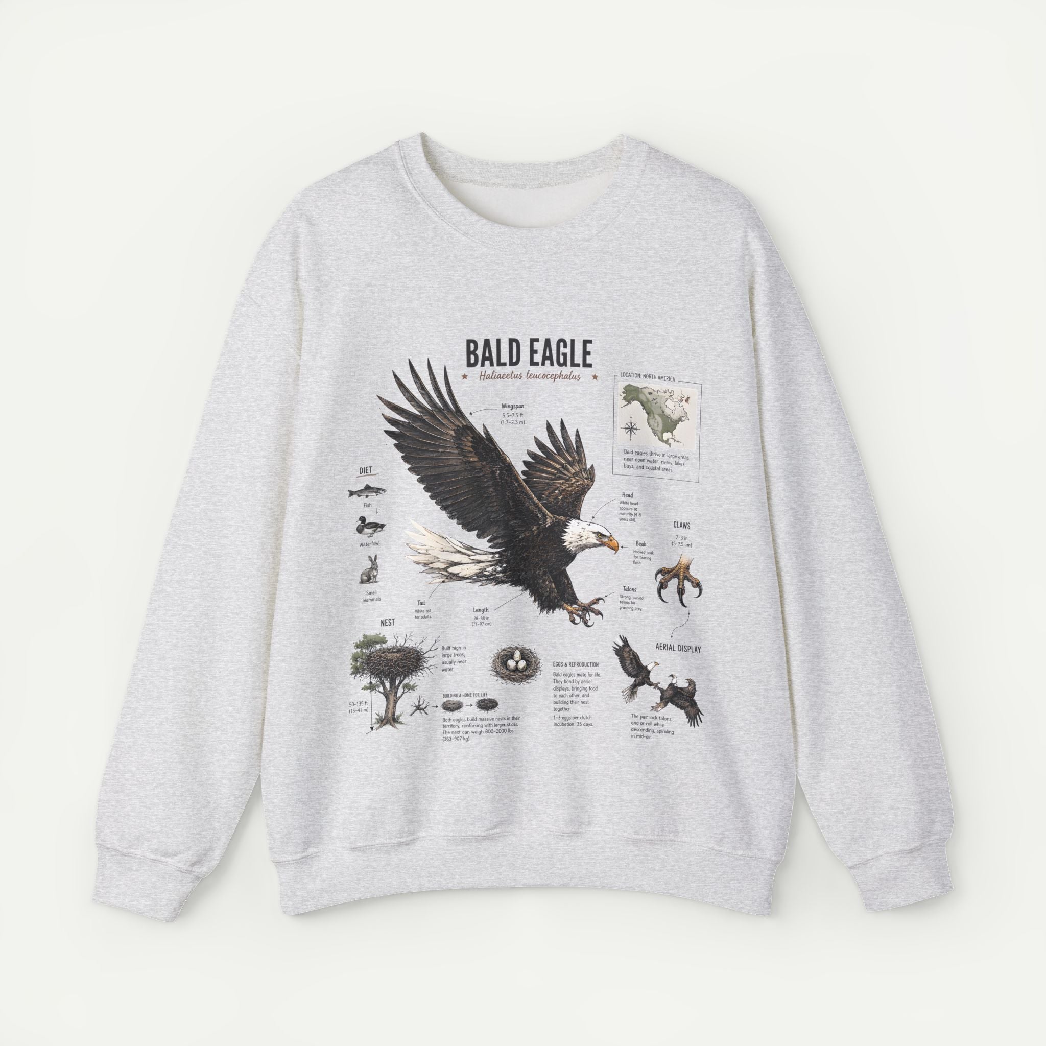 Bald Eagle Anatomy Sweatshirt Secondary image