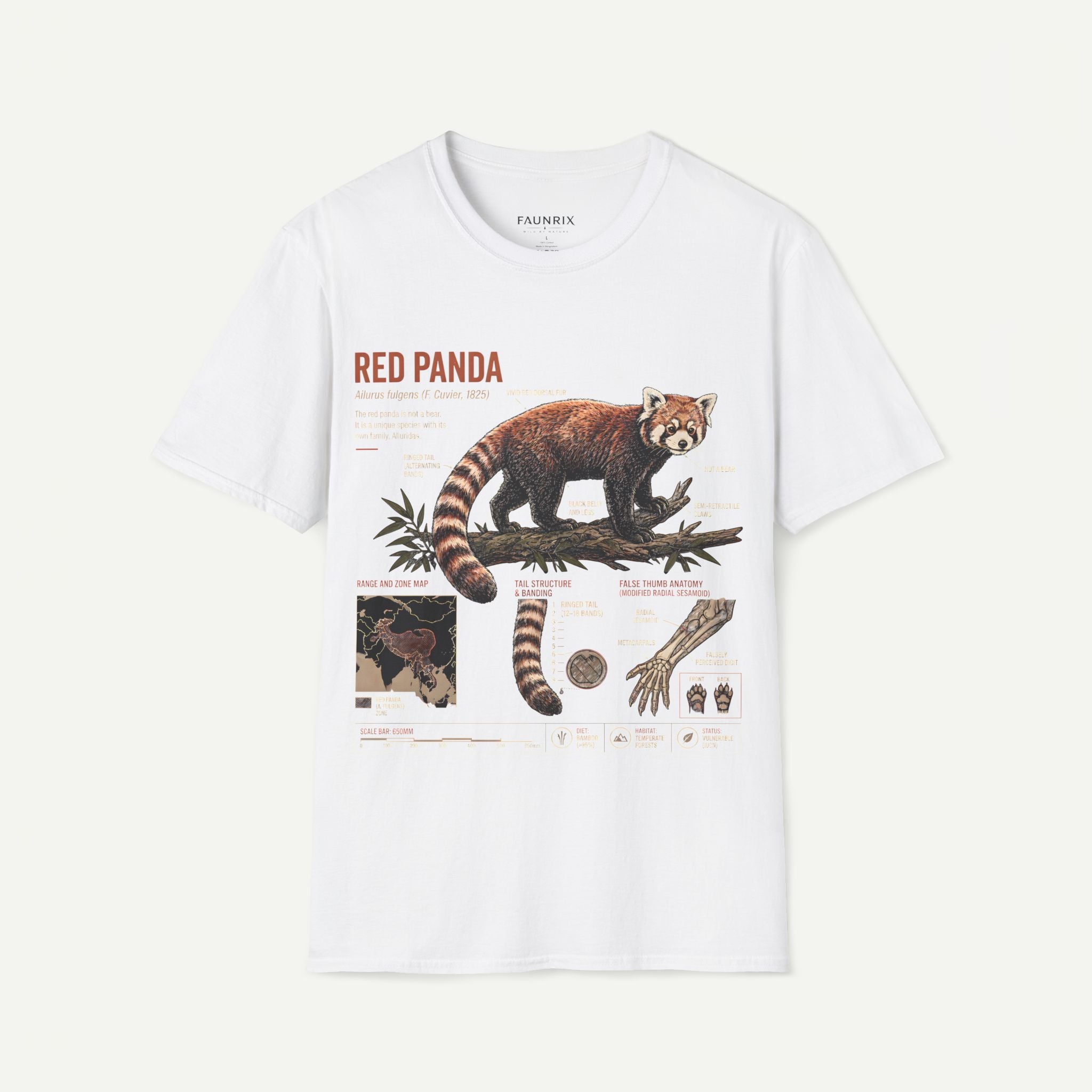 Red Panda Anatomy T-Shirt — Vintage Wildlife Graphic Tee Secondary image