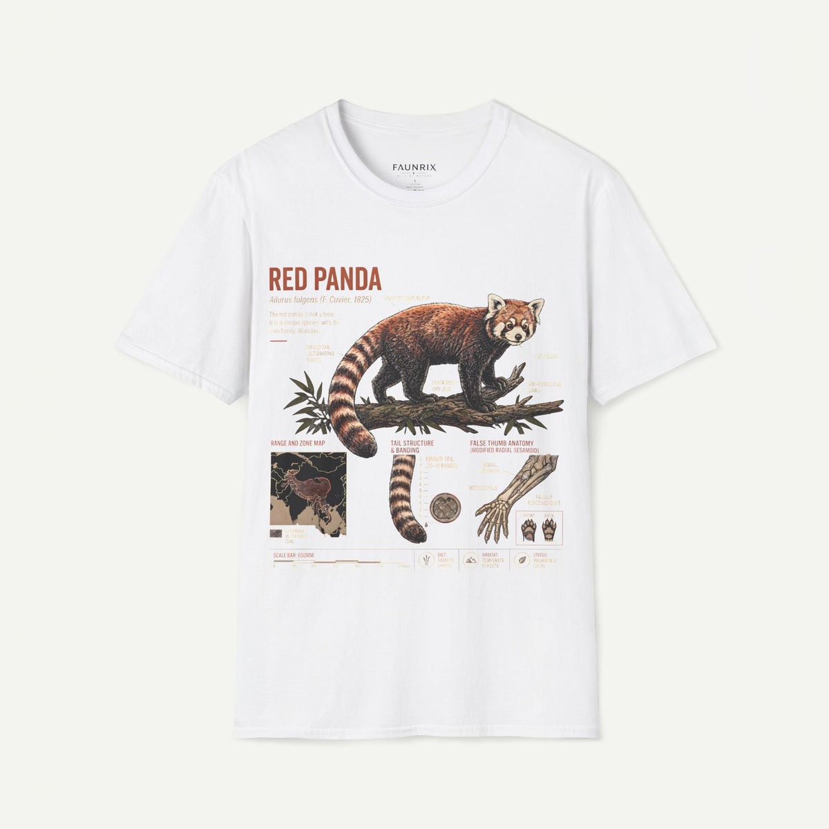 Red Panda Anatomy T-Shirt — Vintage Wildlife Graphic Tee