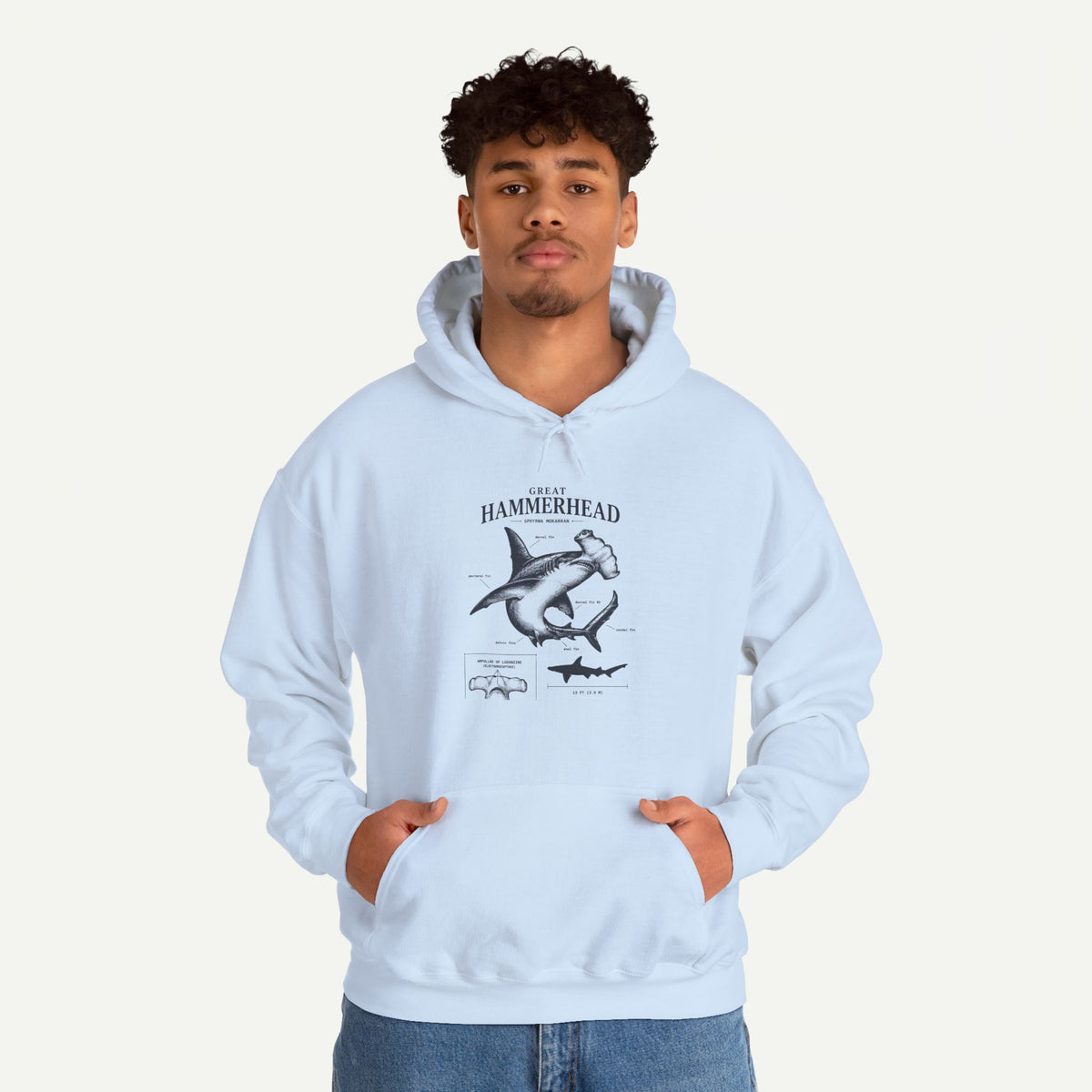 Hammerhead Shark Anatomy Hoodie – Marine Biology Graphic