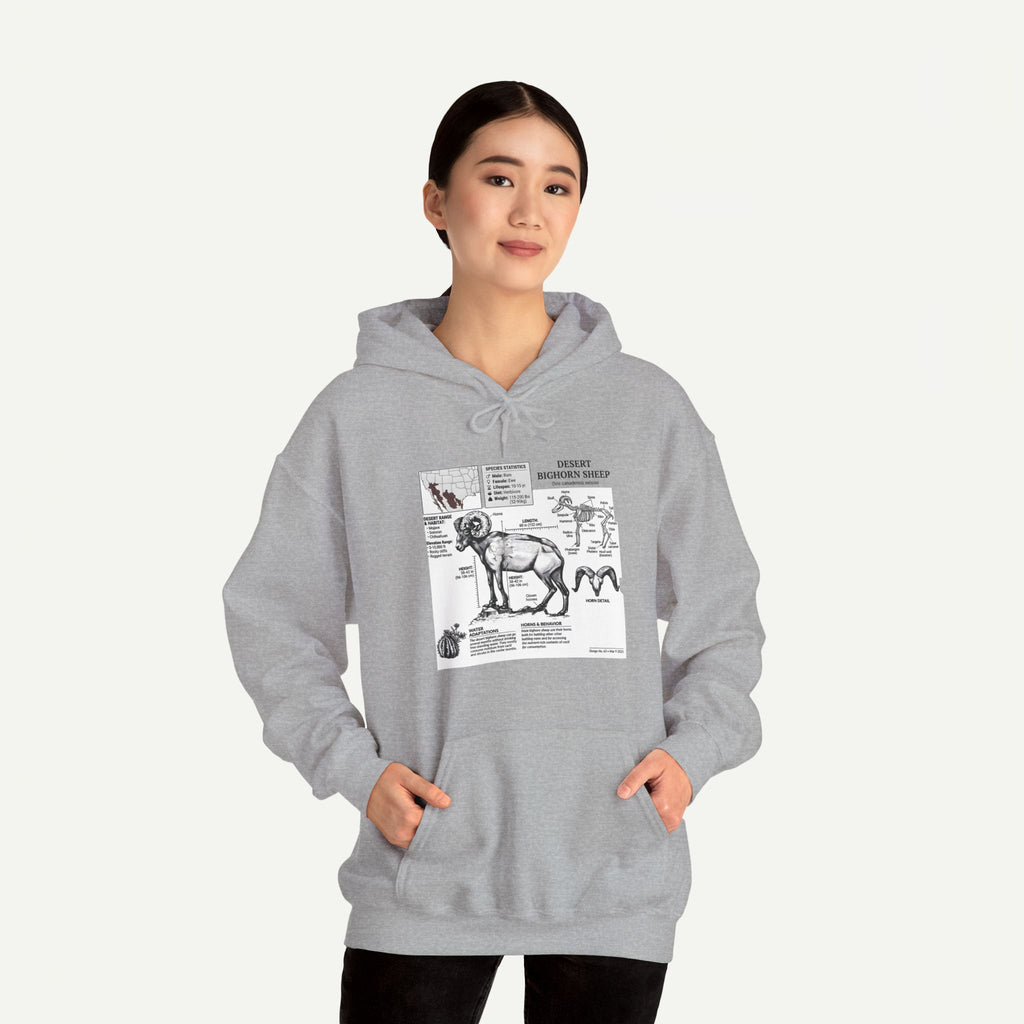 Dog Anatomy Hoodie – Vintage Canine Diagram Sweatshirt