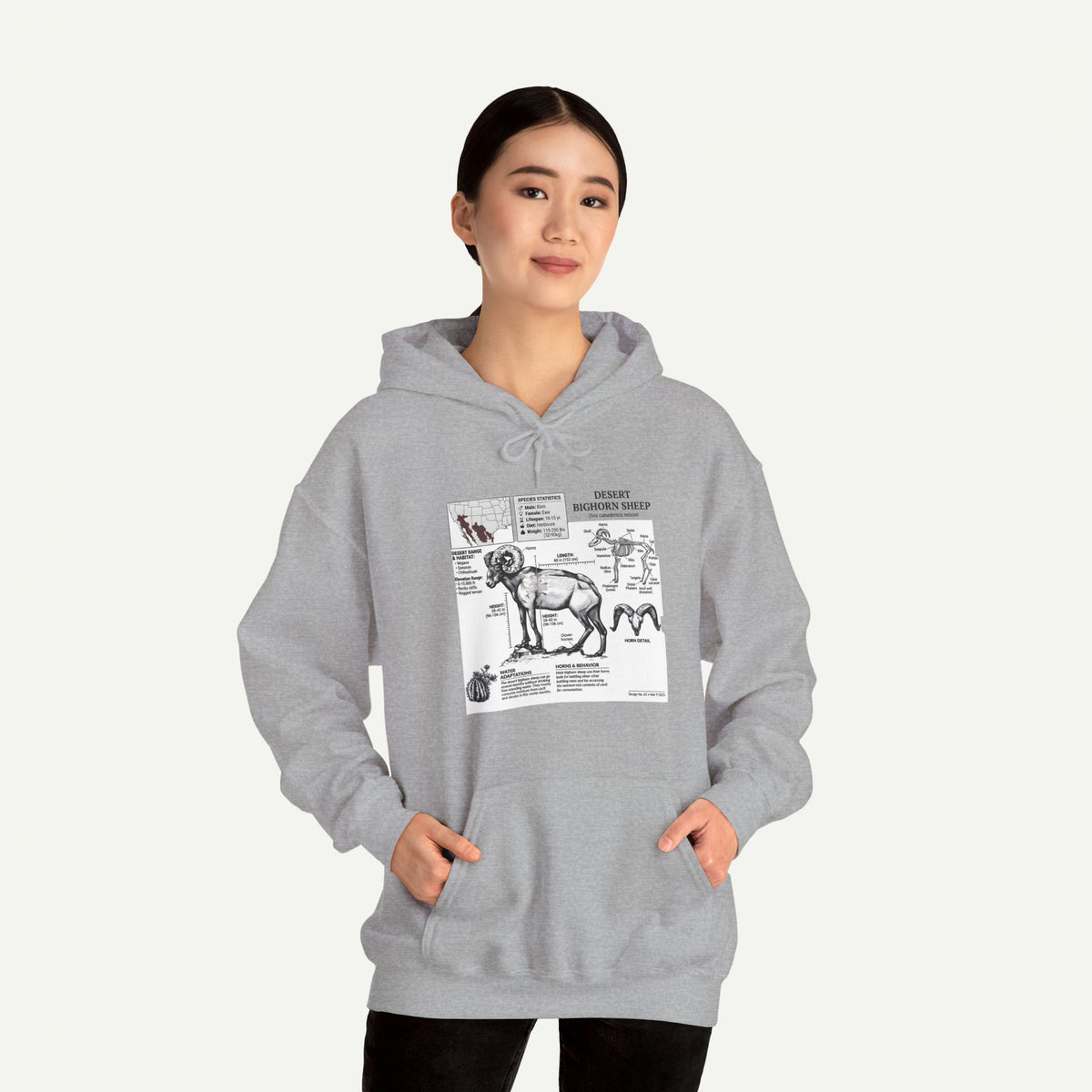 Dog Anatomy Hoodie – Vintage Canine Diagram Sweatshirt