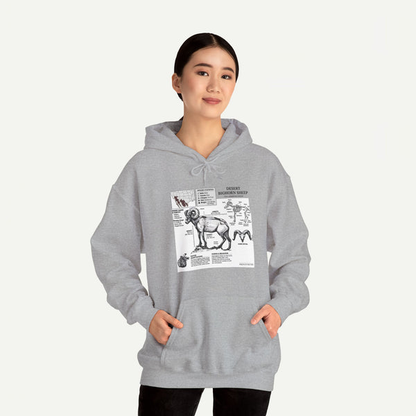 Dog Anatomy Hoodie – Vintage Canine Diagram Sweatshirt